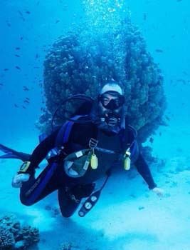 scuba israel eilat photography padi naui